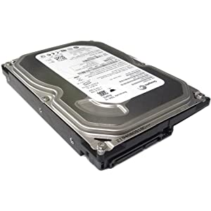 Hard Disk Seagate ST3250312AS SATA 250GB 3.5-INCH HDD Used A
