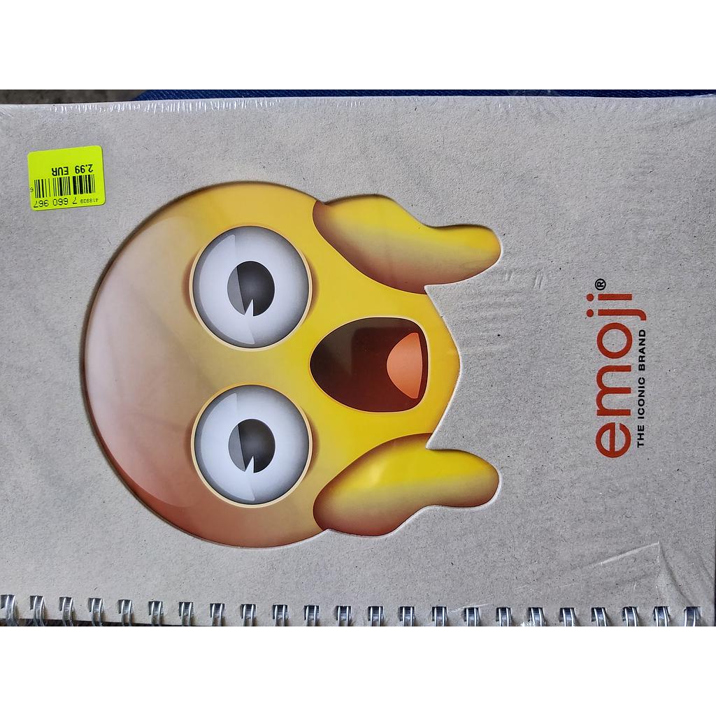 Notebook  30Cm X 22Cm