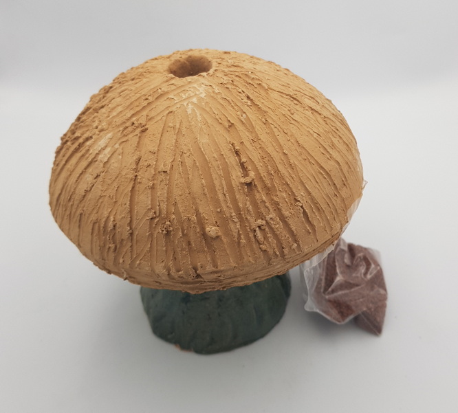 Hollow Mushroom Figure Boxed With Cress Seed