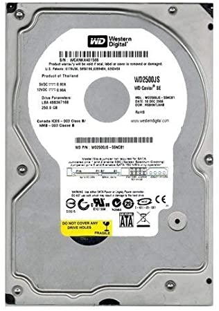 Western Digital WD2500JS Hard Disk Caviar 250GB HDD SATA Used