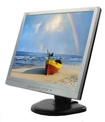 Nec LW19M Monitor Used 1440 x 900 LCD 19